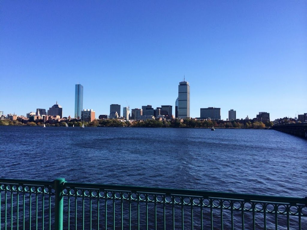 Law Offices Of Scott M Syat P C