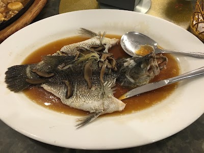 Photos of Seafood Palace