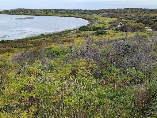 Pelican campground, Parnka Point - Thumbnail