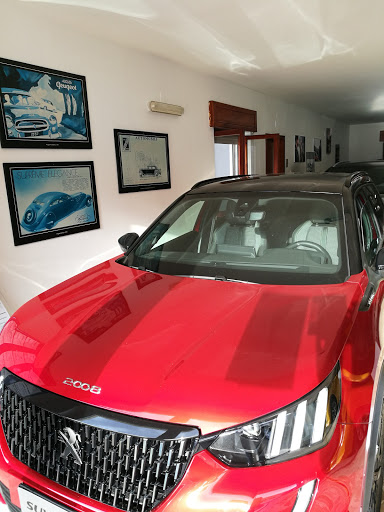 Autoelite Srl - Visual