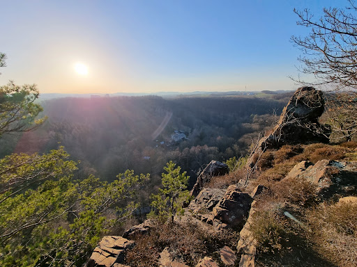 Hallstein - Visual
