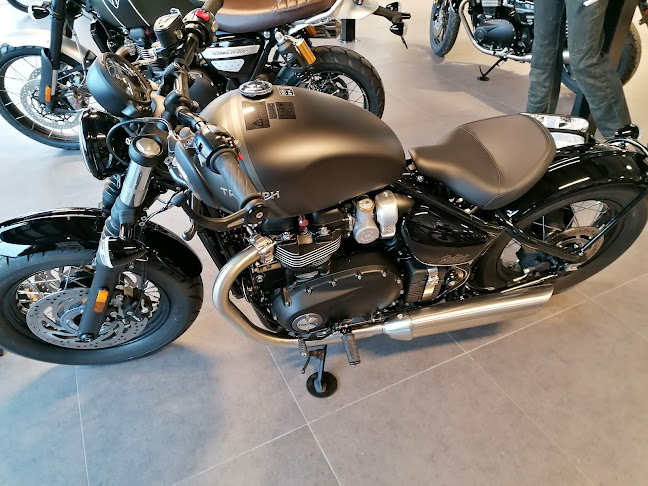 Triumph Quimper - Concessionnaire moto