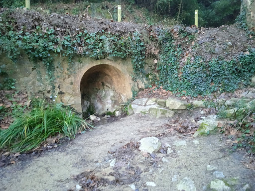 Font Sunyera