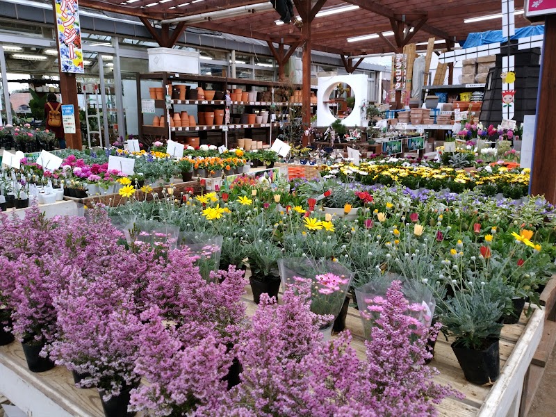 島忠 ホームズ横須賀店 神奈川県横須賀市平成町 ホームセンター 家具 グルコミ