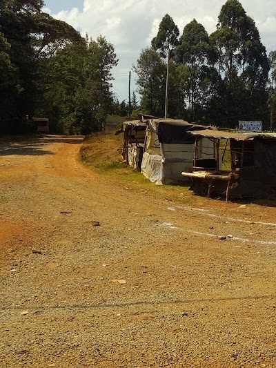 Photos of Ngunguru PCEA Church