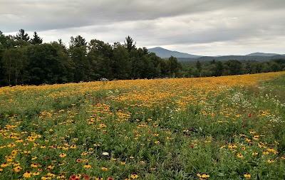 Keene Watershed