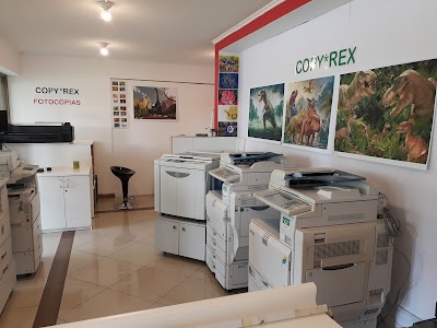 Photos of Copy Printing Systems * Rex