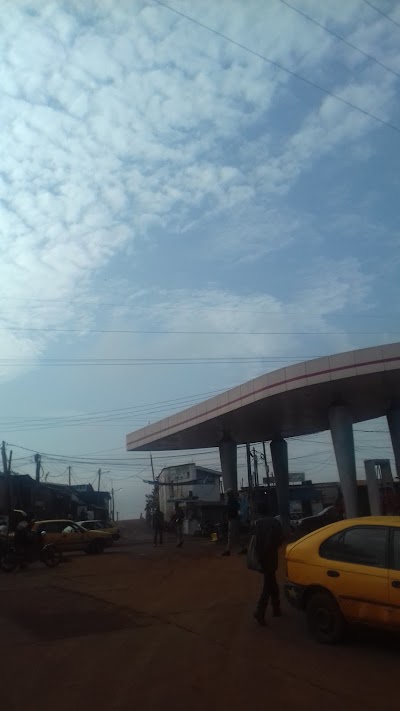 Photos of TRADEX ELEVEUR