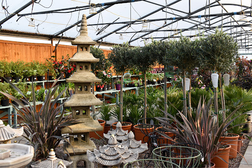 Parker’s Garden Centre Mottram St. Andrew - Thumbnail