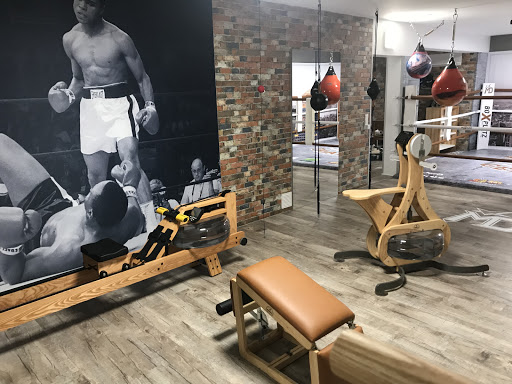 Boxplatz Germany - Visual
