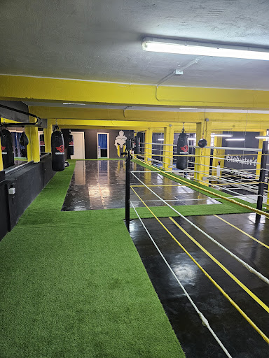 Gladiator Academy - Visual