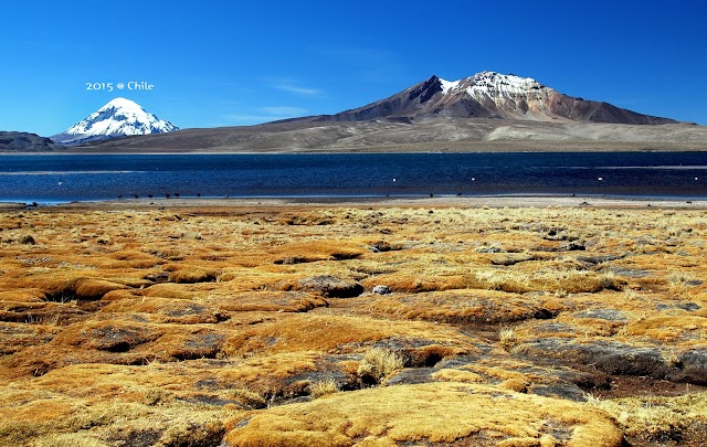 Parc national Lauca