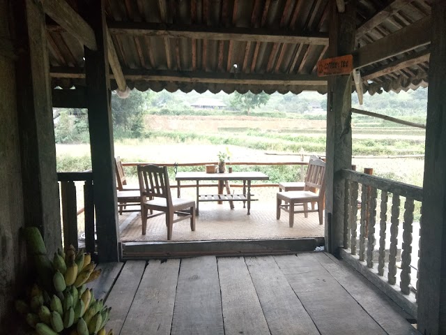 Du Gia Homestay