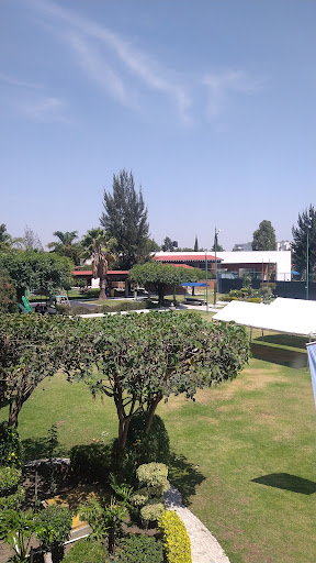 Britania Zavaleta PUEBLA - Thumbnail