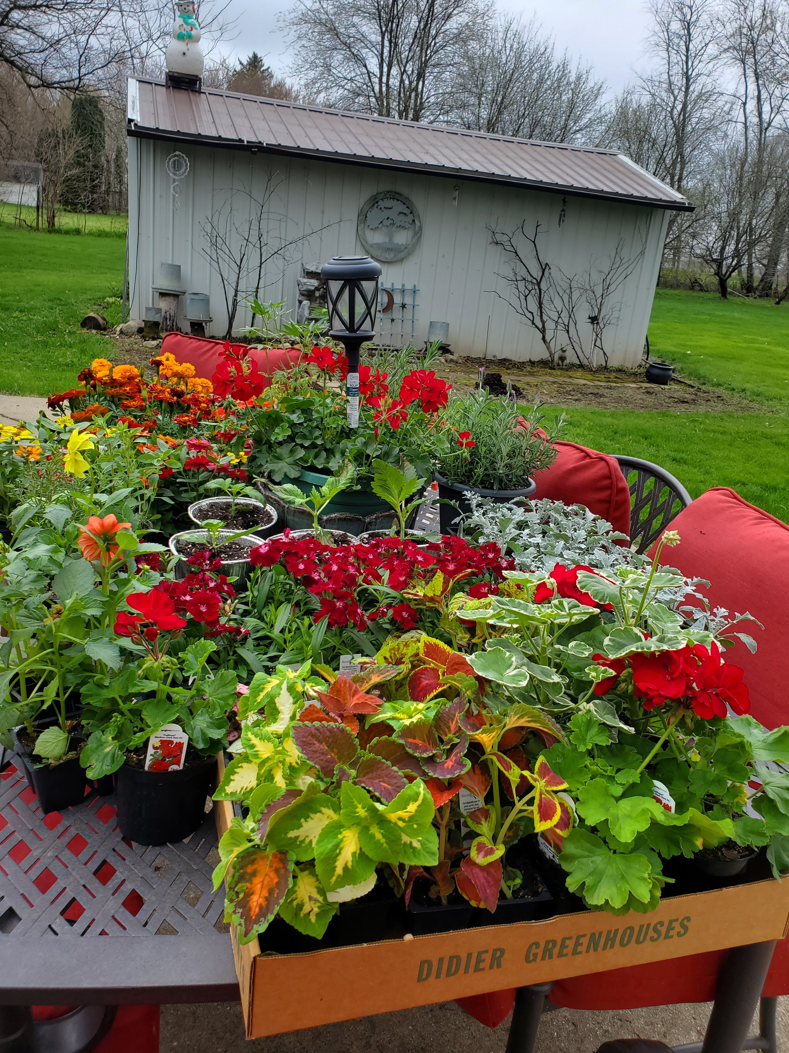 Didier Greenhouses