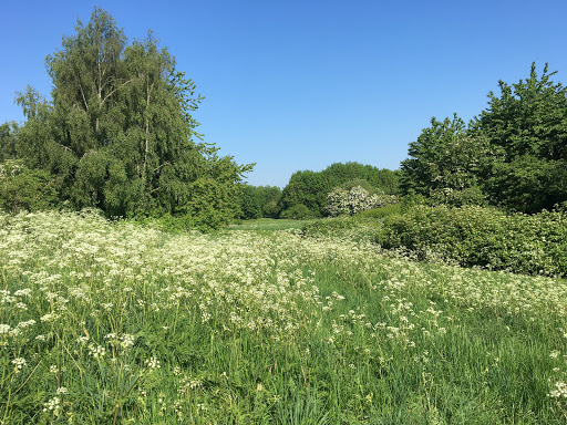 Stokeswood Park - Thumbnail