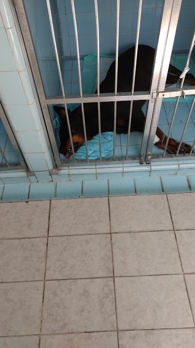 Photos of Veterin&aacute;ria Fliper