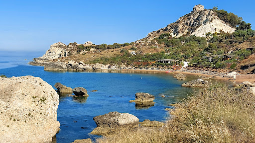 Mollarella - Visual
