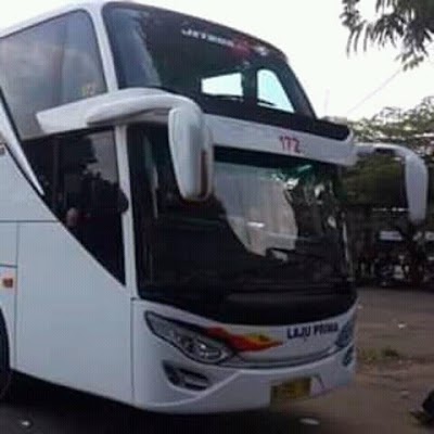 Photos of Agen Bus Po. Laju Prima