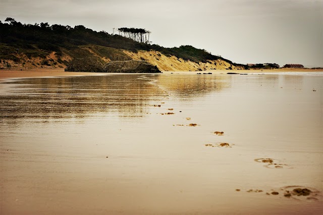 Playa Somo