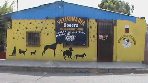 Consultorio veterinario y asesoria tecnica agropecuaria Doggi's Gallery - Mexico