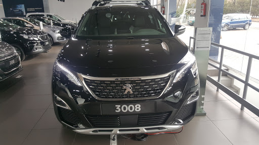 Peugeot Motorcar Norte - Thumbnail