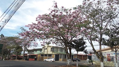 Photos of El Bosque Park