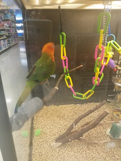 PetSmart