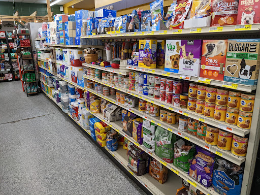 Carson General Store - Visual
