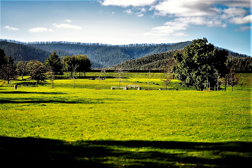 Toorourrong Reservoir Park - Thumbnail