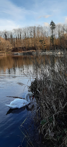 Aussichtspunkt Opfinger Baggersee - Thumbnail