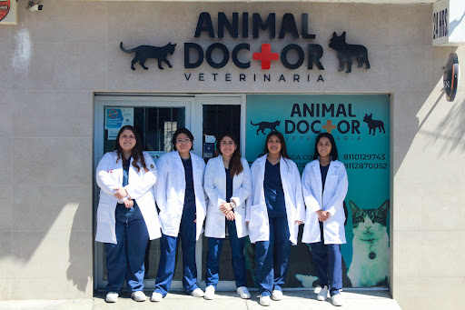 Animal Doctor Veterinaria