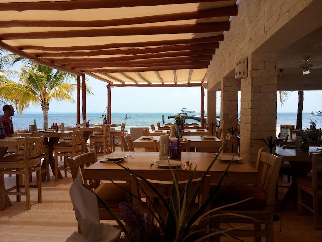 Marbella restaurante isla