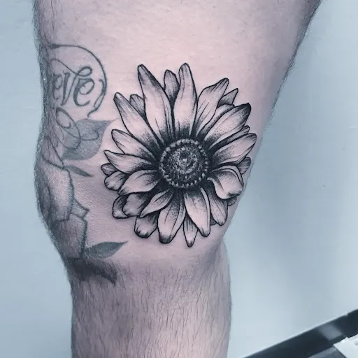Art Design Ink - Visual