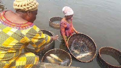 Photos of Epe Fish Market