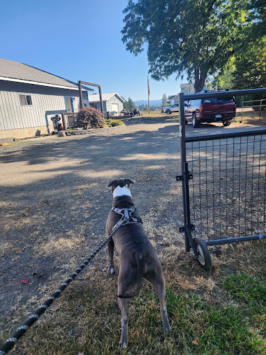 Countryside Kennel