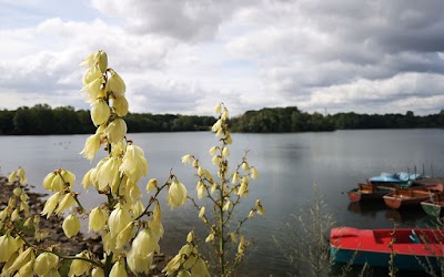 Wohnmobilstellplatz Toeppersee