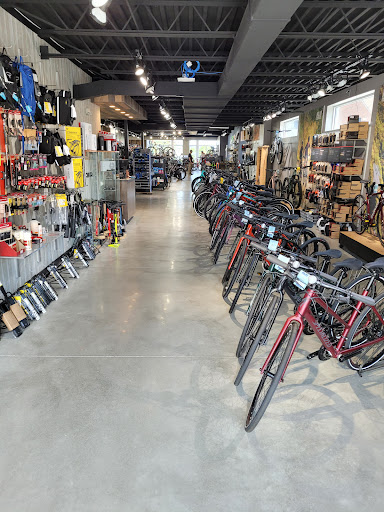 Klm Bike & Fitness Rochester Hills - Thumbnail