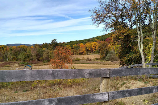 Stissing Mountain Multiple Use Area - Thumbnail
