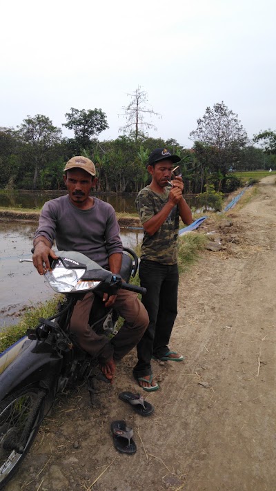 Photos of Temulawak