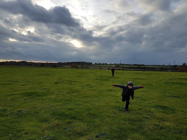 Caistor Roman Town (Venta Icenorum)