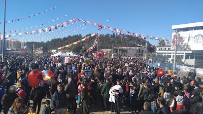 Photos of Papatya Cafe