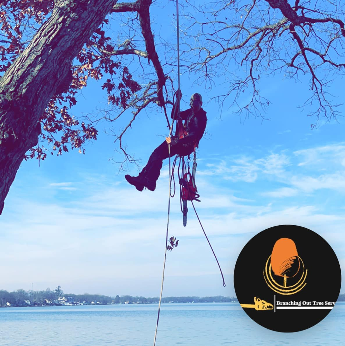 Branching Out Tree Service