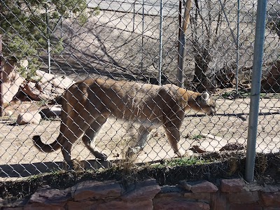 Navajo Zoological Park