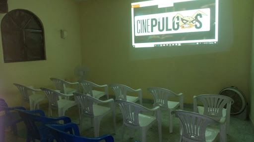 Cine las pulgas Gallery - Mexico