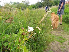 New Ferry Butterfly Park liverpool