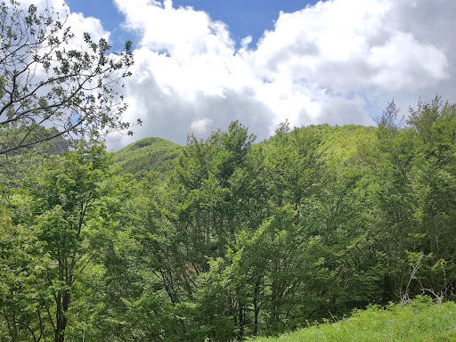 Monte Chiodo