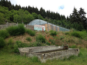 Photo n°14 de Spiruline des Monts d'Ardèche - Producteurs de Spiruline Bio en Ardèche Verte à Saint-Jeure-d'Andaure (Ferme bio)
