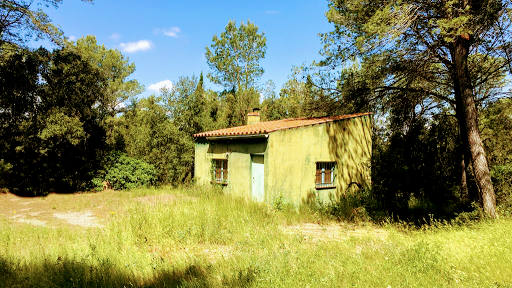 Puig Rodó - Visual
