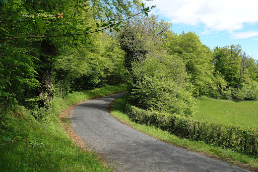 Creux Paillet - Thumbnail